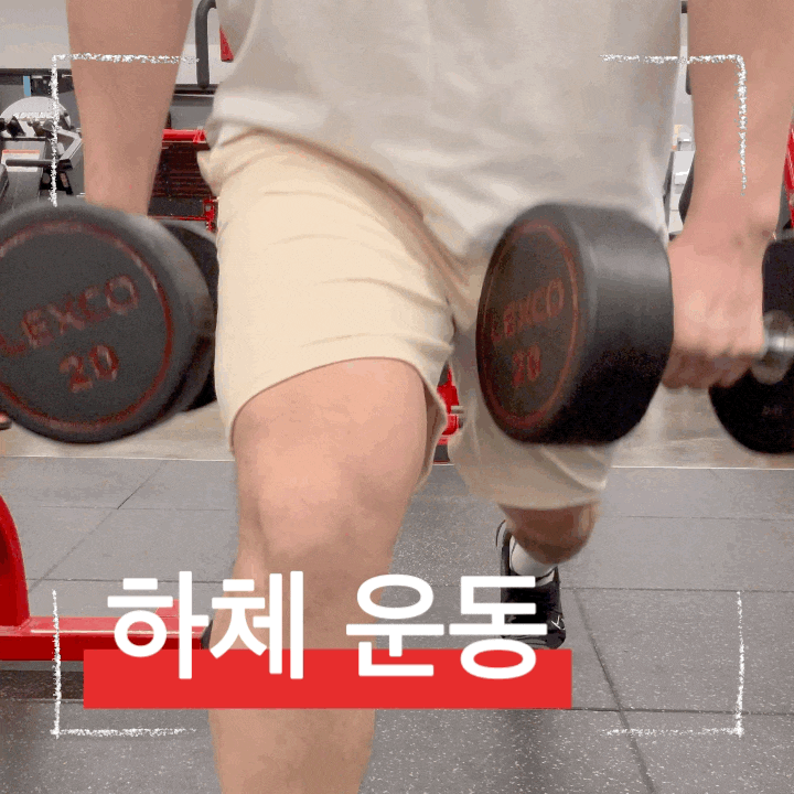  하체와 코어 안정성을 높이는 헬스 덤밸 런지 운동 방법