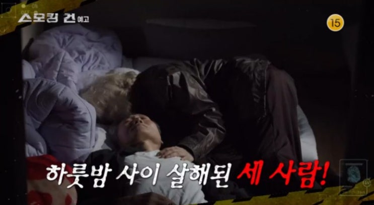 보령 청산가리 살인사건 전말 범인 범행 이유 형량 스모킹건 보령 청산가리 살인사건 전말 범인 범행 이유 형량 스모킹건
