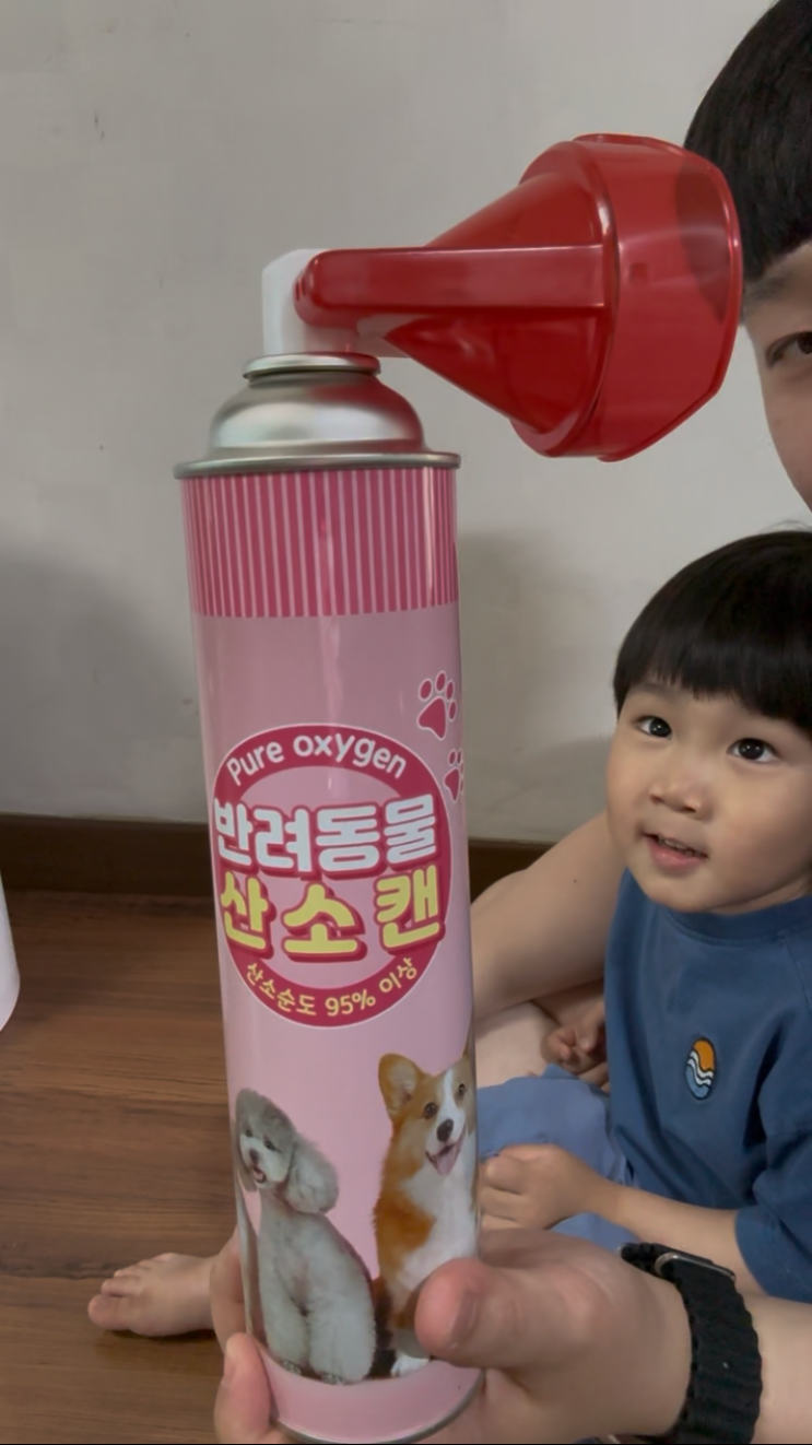  강아지산소캔 신제품 추천 산소정상 반려동물 산소캔