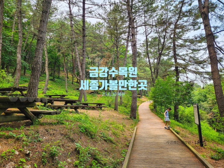 세종가볼만한곳 <b>금강수목원</b> 25년6월30일 폐관.  이번달이... 
