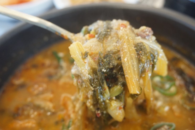  강릉역 맛집 아침식사 하기 딱 좋았던 식당 추천