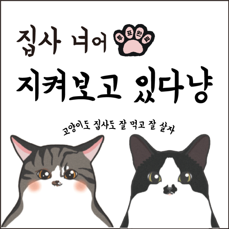  선거 반려동물 및 영유아 투표소 동반가능여부