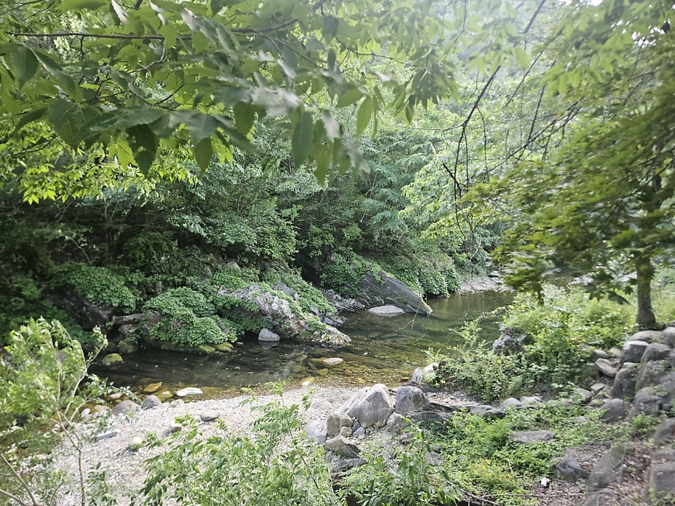 풍경펜션 사진 3