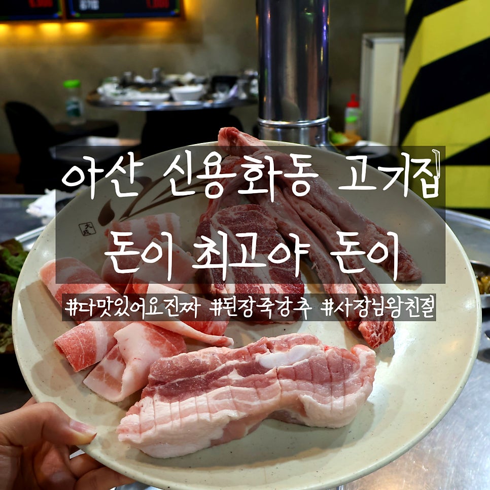 돈이최고야돈이 사진 1