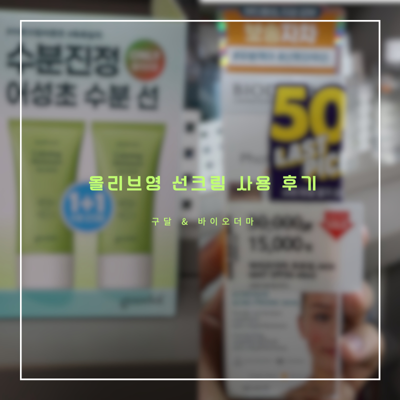 올리브영 선크림 구달 바이오더마 선크림 사용후기 (20250512)