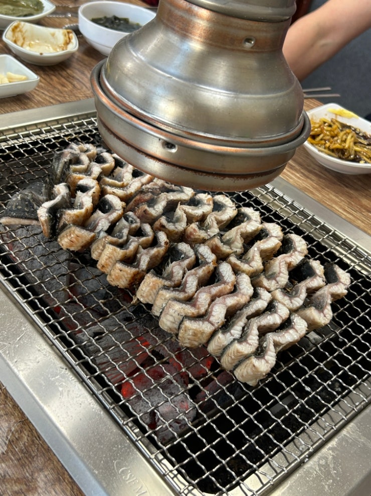 금강장어 사진 5