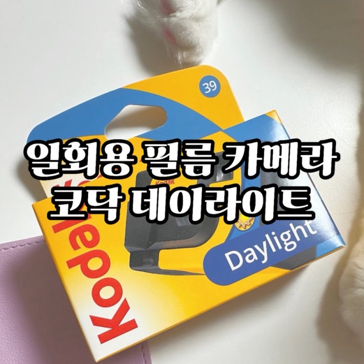  [일회용필름카메라] 코닥 데이라이트 필름 현상/인화 스캔 후기 & 현상스캔 방법