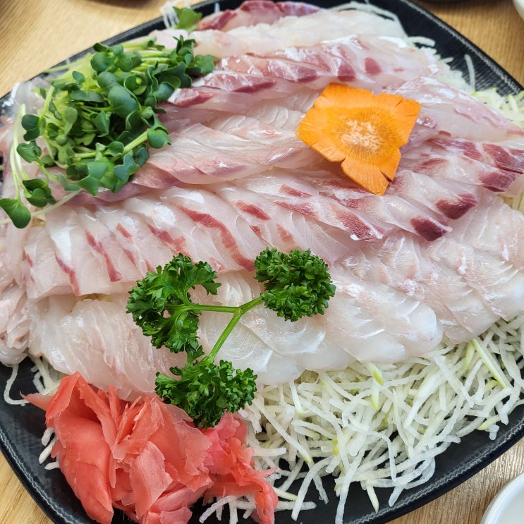  가락시장 가락몰 회센터 맛집 추천 영재수산