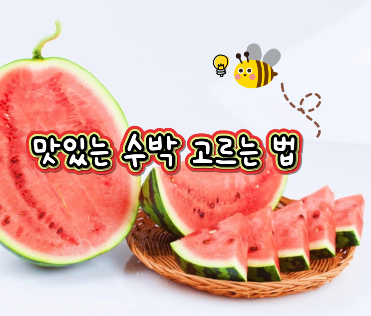  [여름 제철 과일] #맛있는 #수박 고르는 법 . Tip