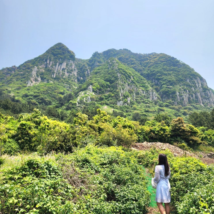  산방산 전망 좋은 곳 유채꽃 포토존 제주도 남쪽 여행 가볼만한 곳