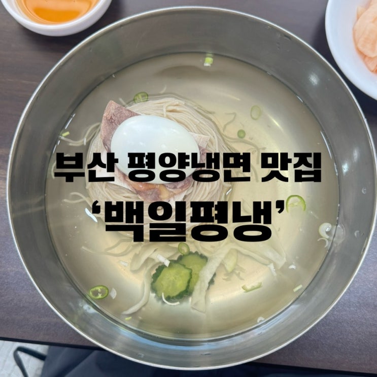  [부산 평양냉면] 광안리 미쉐린 빕구르망 금련산역 평양냉면 맛집 ‘백일평냉’