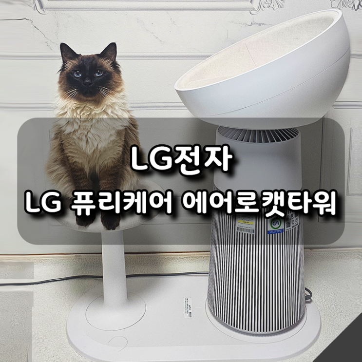  [LG] 고양이도 집사도 만족한 가전, LG 퓨리케어 에어로캣타워 후기