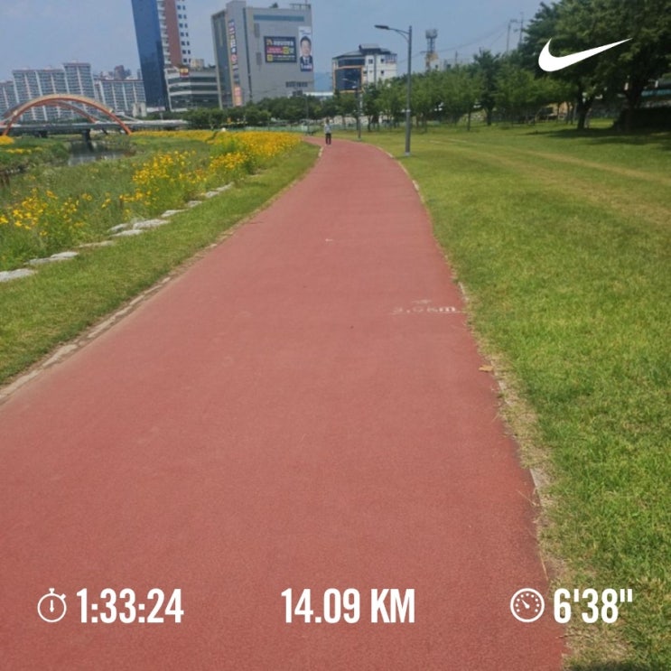 매일 10km 러닝 챌린지 1394일 차