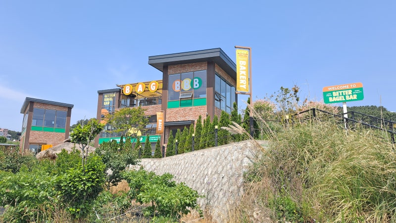 사진 3
