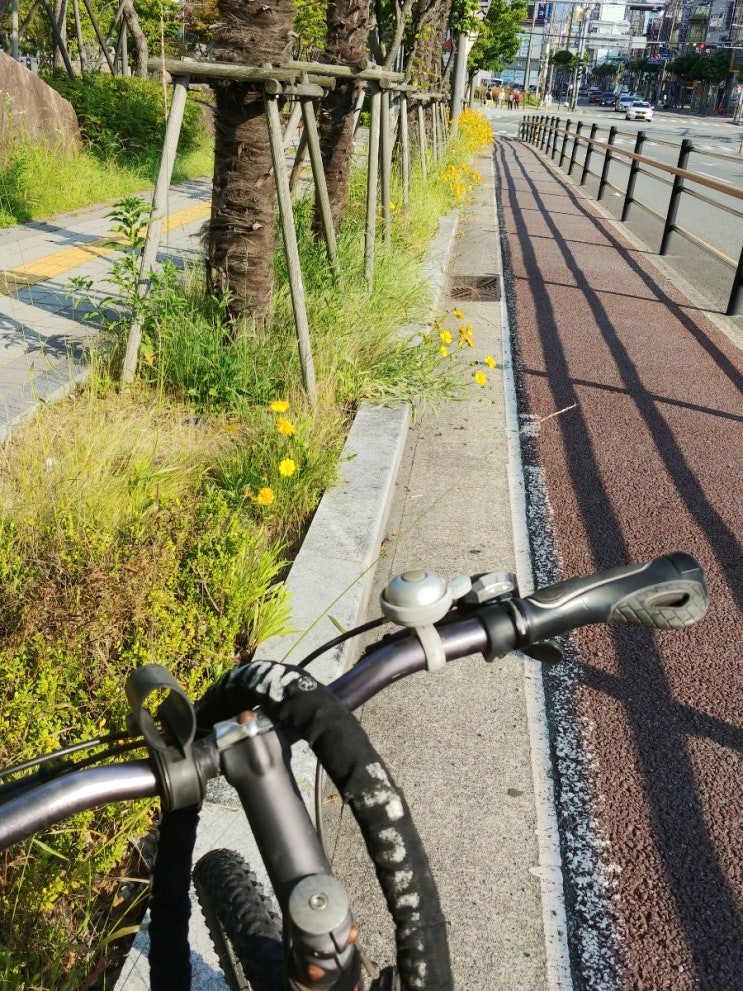 노랗고 빨갛고~~