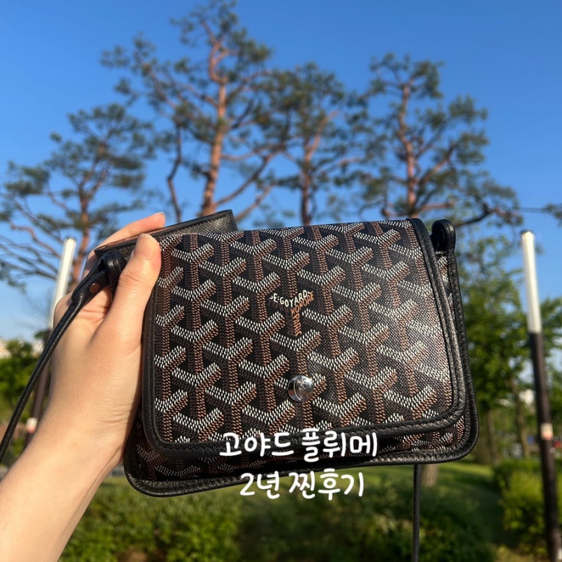 고야드 플뤼메백 찐리뷰! 배우 엄지원 가방