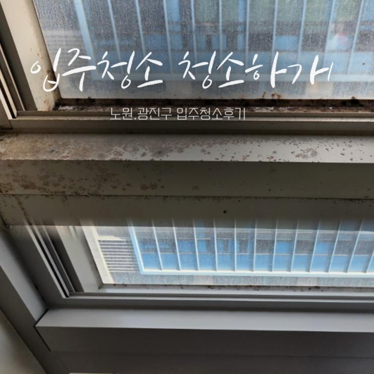  노원 입주청소 광진구 입주청소 숨고 청소하개 