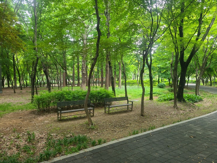  가족 나들이 추천 양재 매헌시민의 숲