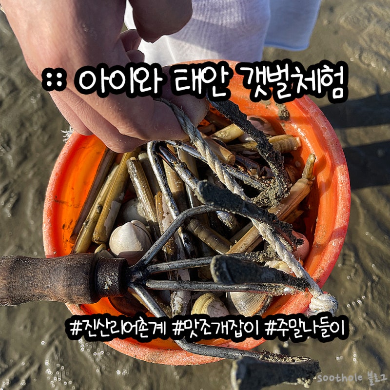 사진 3