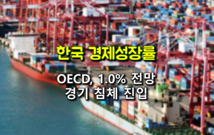 OECD, 한국 경제 성장률 전망...1.0%대 전망 "경기 침체 진입"