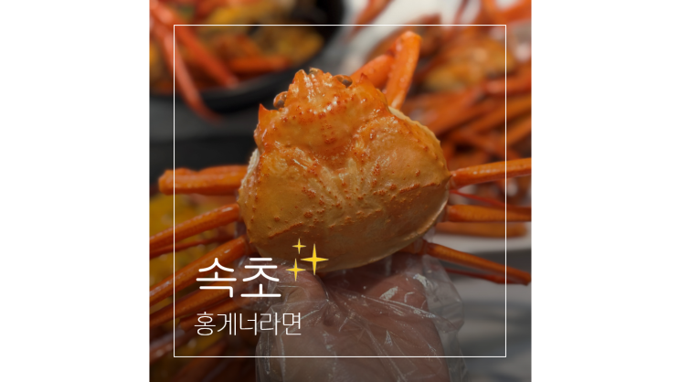  속초 동명항 맛집 홍게너라면에서 즐기는 홍게 무한리필 대게 세트 ㅣ 속초중앙시장 근처 먹거리