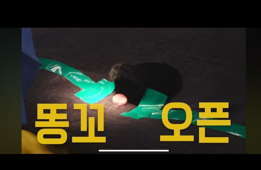 유대항외과의원 사진 1