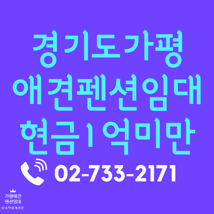  경기도 가평 애견 펜션 임대 현금1억미만