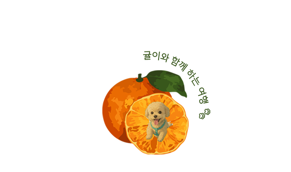 사진 3