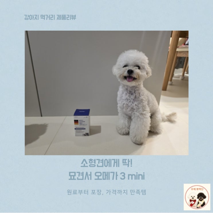  소형견에게 딱! 묘견서 오메가 3 미니 후기