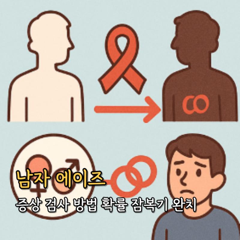 남자 에이즈 증상 검사 방법 확률 잠복기 완치