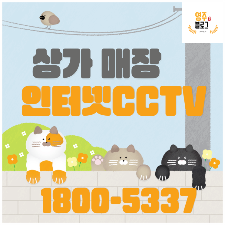 상가 매장 인터넷 CCTV 현금 받고 싶을 때