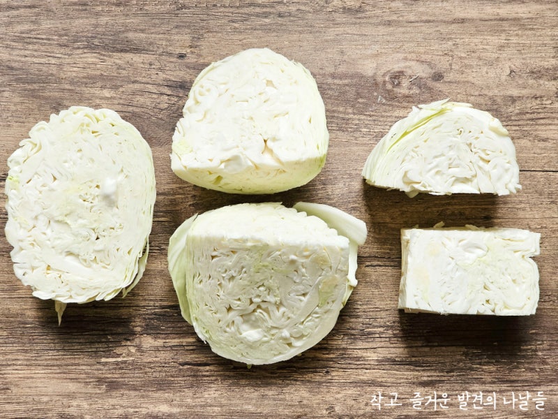양배추 오래 보관법 이렇게 손질 하면 매일 챙겨 먹기 편해요!