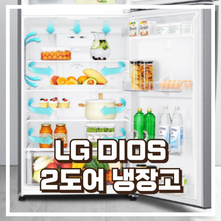  넉넉한 507L 수납이 가능한 LG DIOS B502S33 2도어 냉장고 리뷰, 혜택가