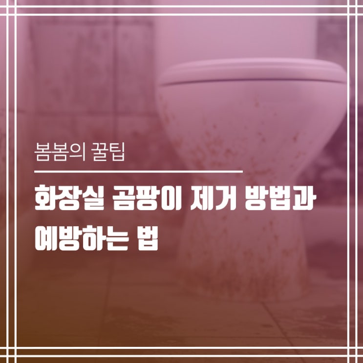  화장실 안에 핀 곰팡이 제거 방법과 예방법