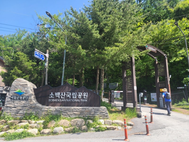 사진 4