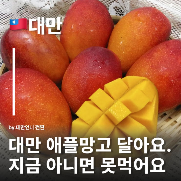  지금 아니면 못 먹는 대만 애플망고 대만여행 망고 꼭 드세요 대만과일추천 6월 7월대만여행