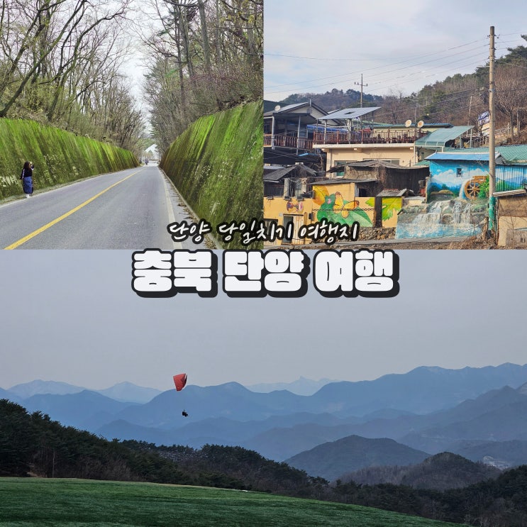  충북 단양 아이랑 가볼만한곳 이끼터널 구경시장 볼거리