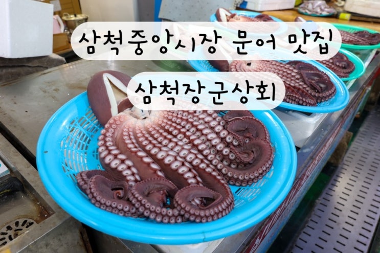  [강원도 삼척] 삼척중앙시장 문어집 맛집 장군상회 온라인 구매 링크