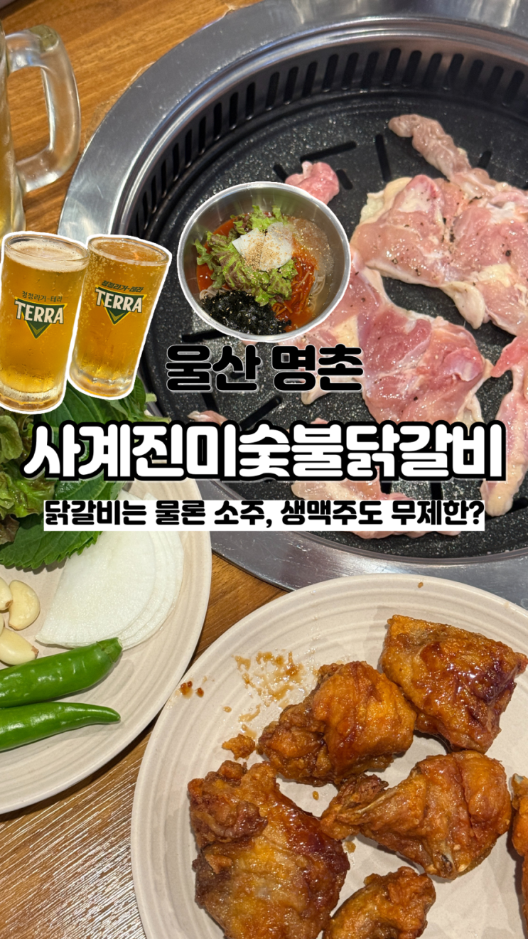  닭갈비와 소주, 생맥주가 무한리필인 울산 명촌 프리미엄뷔페 사계진미숯불닭갈비