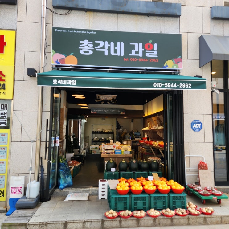 마산 양덕동 총각네 과일 동네 배달 과일바구니 마산 양덕동 총각네 과일 동네 배달 과일바구니