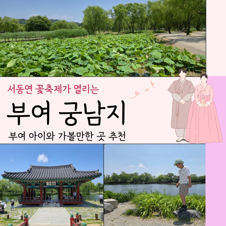  충남 부여 아이와 가볼만한곳 서동연꽃축제가 열리는 궁남지 방문기