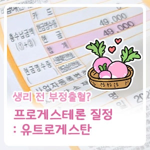 임신준비 ] 자연임신 - 7. 프로게스테론 질정 / 유트로게스탄