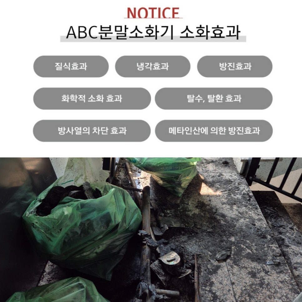 마이크린 사진 4