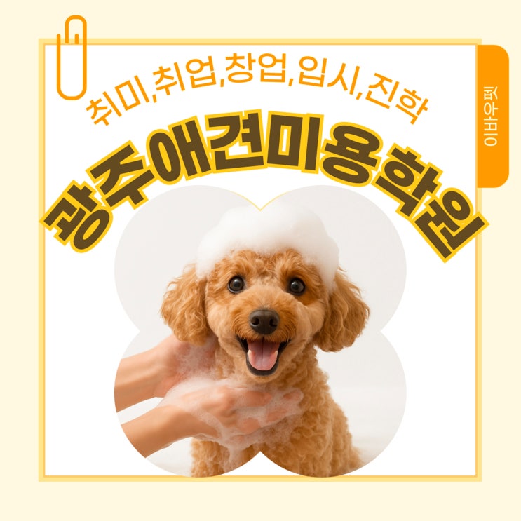  광주애견미용학원 선택 전, 자격증부터 수익까지 현실적인 기준을 알아보자