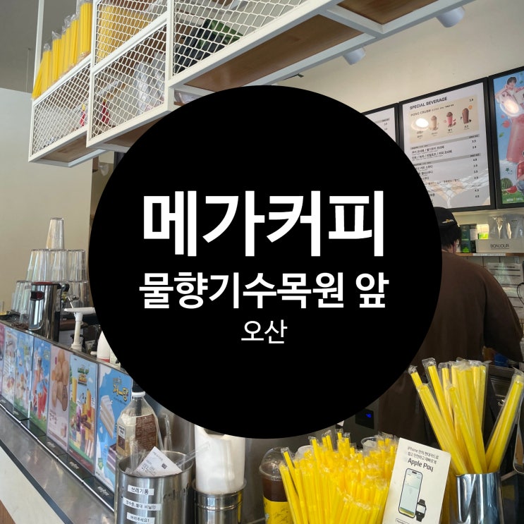  오산 물향기수목원 앞 메가커피 솔직 후기  대기시간부터 할인 꿀팁까지!