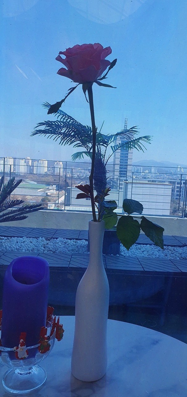  특별한 저녁, 전주신시가지식당 EIGHT FLOOR에서 도시 뷰를 즐기다