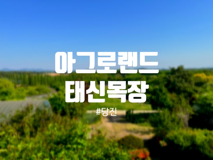  당진 [아그로랜드]