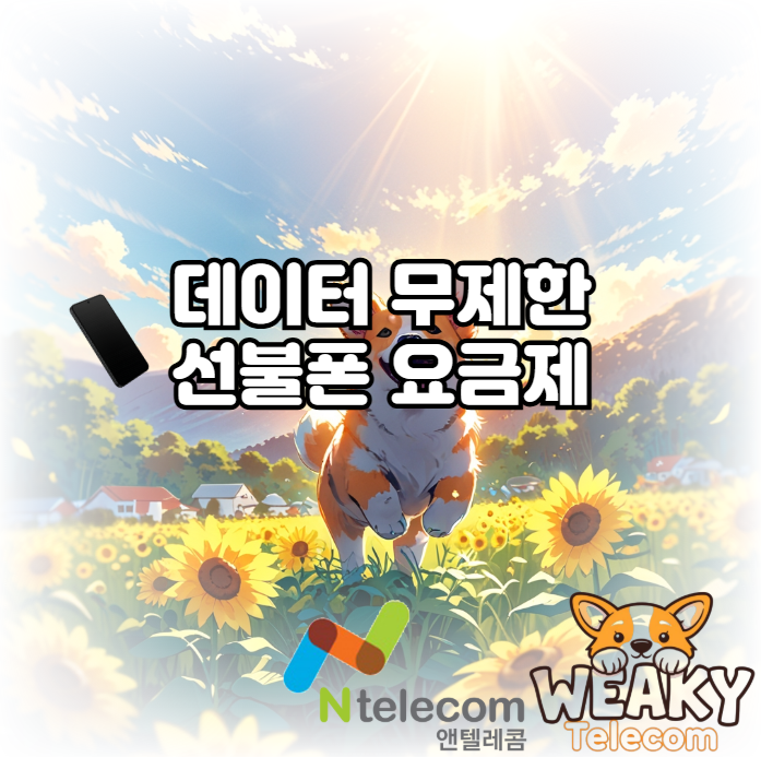  데이터 무제한 선불폰 요금제 개통을 원한다면?