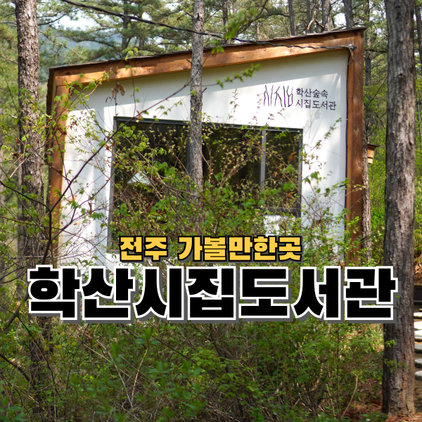 숲과 시의 만남, 전주 학산숲속시집도서관과 맏내제 힐링 후기