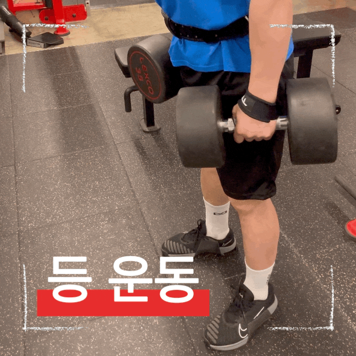  헬스 덤벨 루마니안 데드리프트 운동 방법 및 포인트